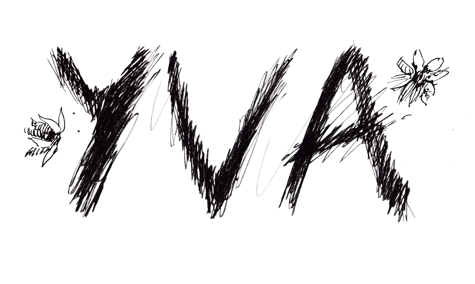 YVA
